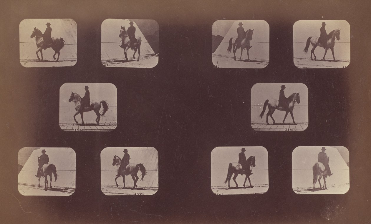 Előrövidülések tanulmányai. Lovak. Séta. Mohamed. 1879. 119-120. sz. alkotó: Eadweard Muybridge