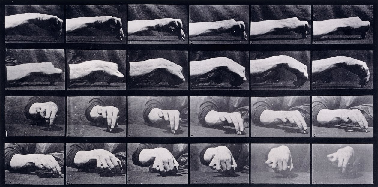 Mozgástanulmány egy kézről, 1872-1885 körül alkotó: Eadweard Muybridge