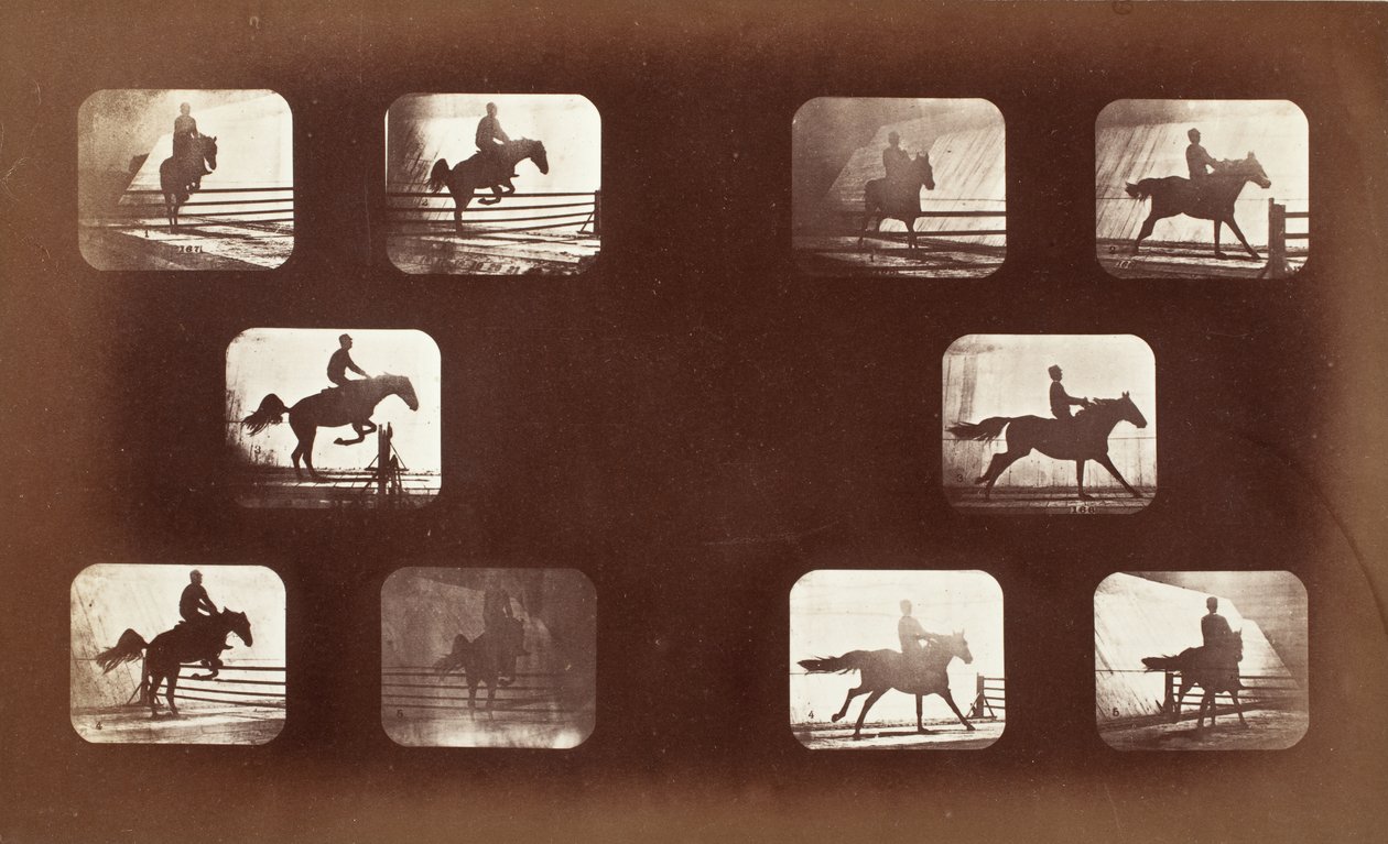 Állati mozgás (lovon ülő férfi akadályok felett) alkotó: Eadweard Muybridge