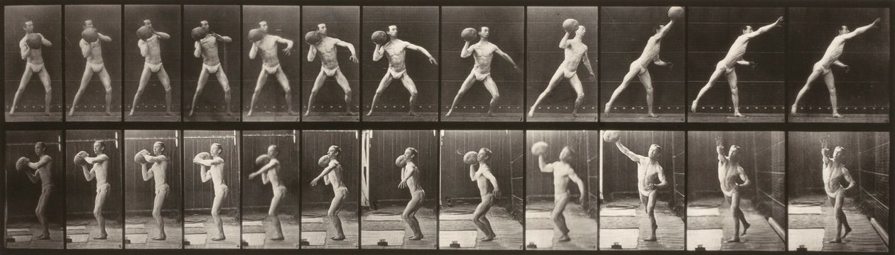 Állatok mozgása (319. tányér) (Ember dob egy labdát) alkotó: Eadweard Muybridge