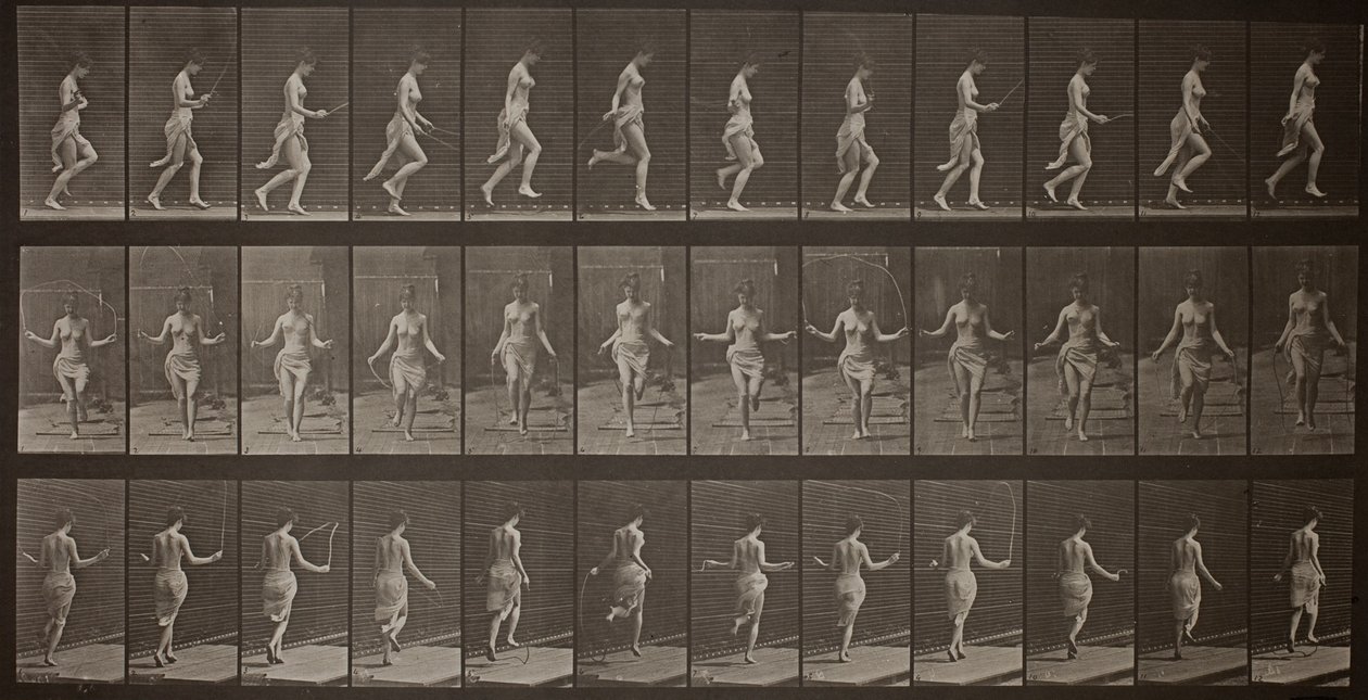 Állatok mozgása, 174. tábla alkotó: Eadweard Muybridge