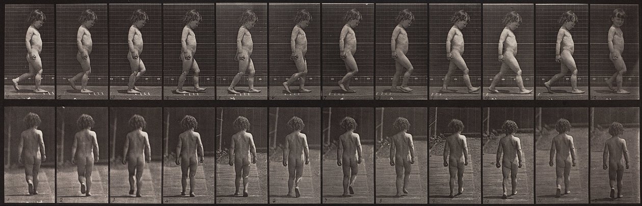 Állatok mozgása, 467. tábla alkotó: Eadweard Muybridge