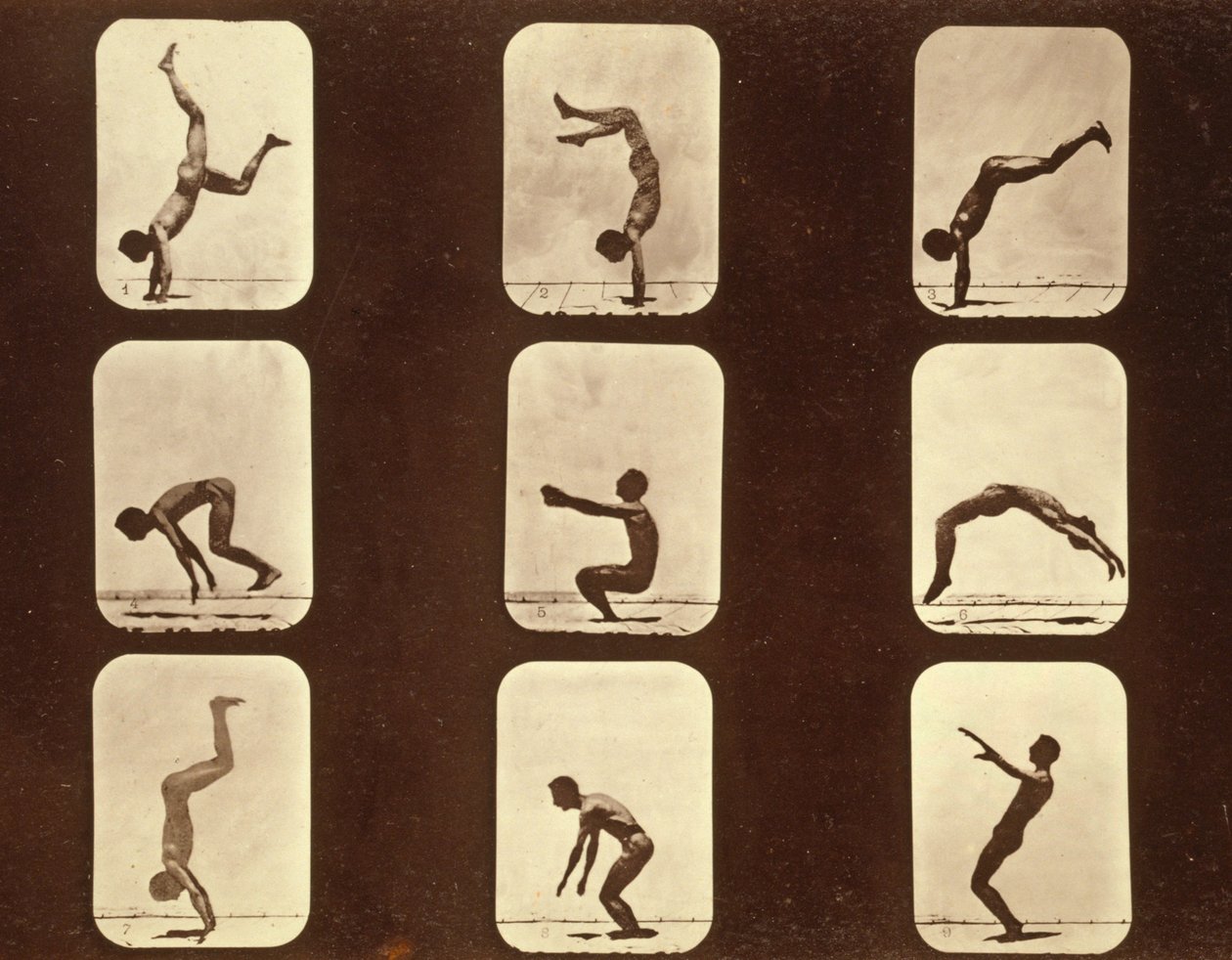 Sportolók. Flip csap „Animal Locomotion” sorozat, 1881 körül (f/w fotó) alkotó: Eadweard Muybridge