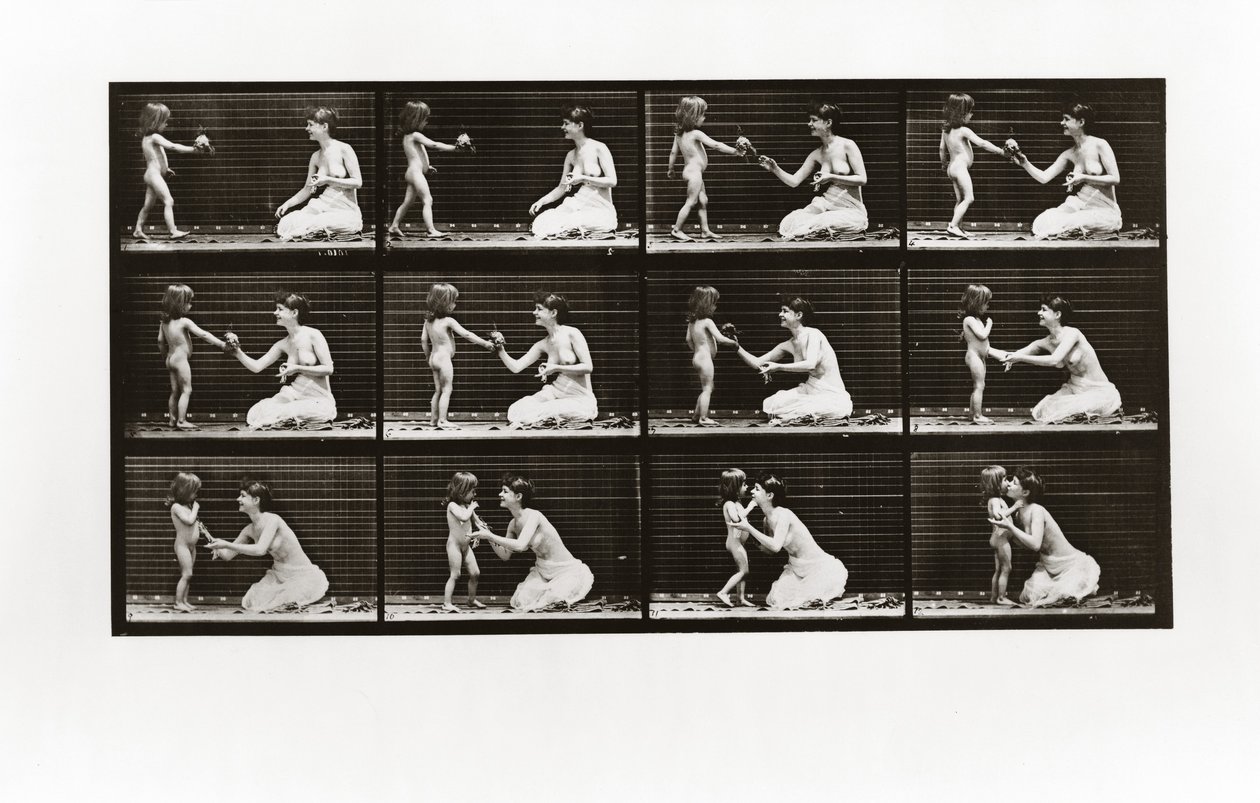 Gyermek csokrot hoz egy nőnek, 465. tábla az Animal Locomotion-tól, 1887 alkotó: Eadweard Muybridge