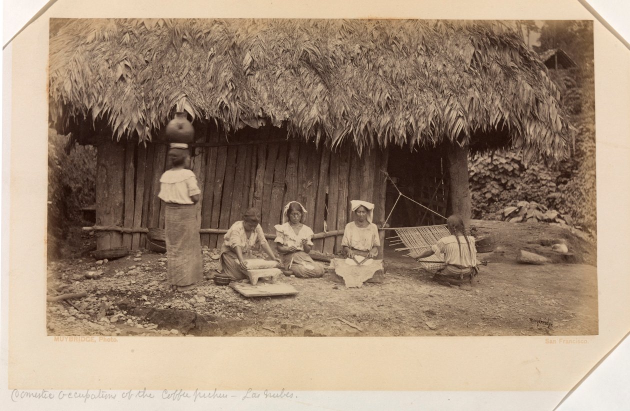 A kávészedők háztartási foglalkozásai, Las Nubes, Guatemala alkotó: Eadweard Muybridge