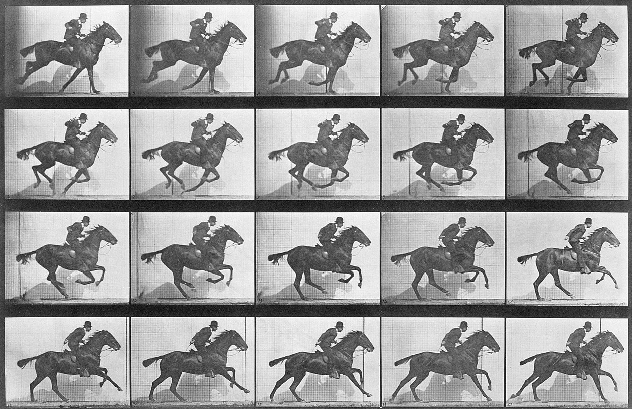 Vágtató ló, 628-as tábla az „Animal Locomotion”-ból, 1887 alkotó: Eadweard Muybridge