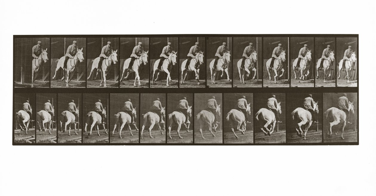 Vágtázó ló lovassal, 635-ös tábla az Animal Locomotion-tól, 1887 alkotó: Eadweard Muybridge