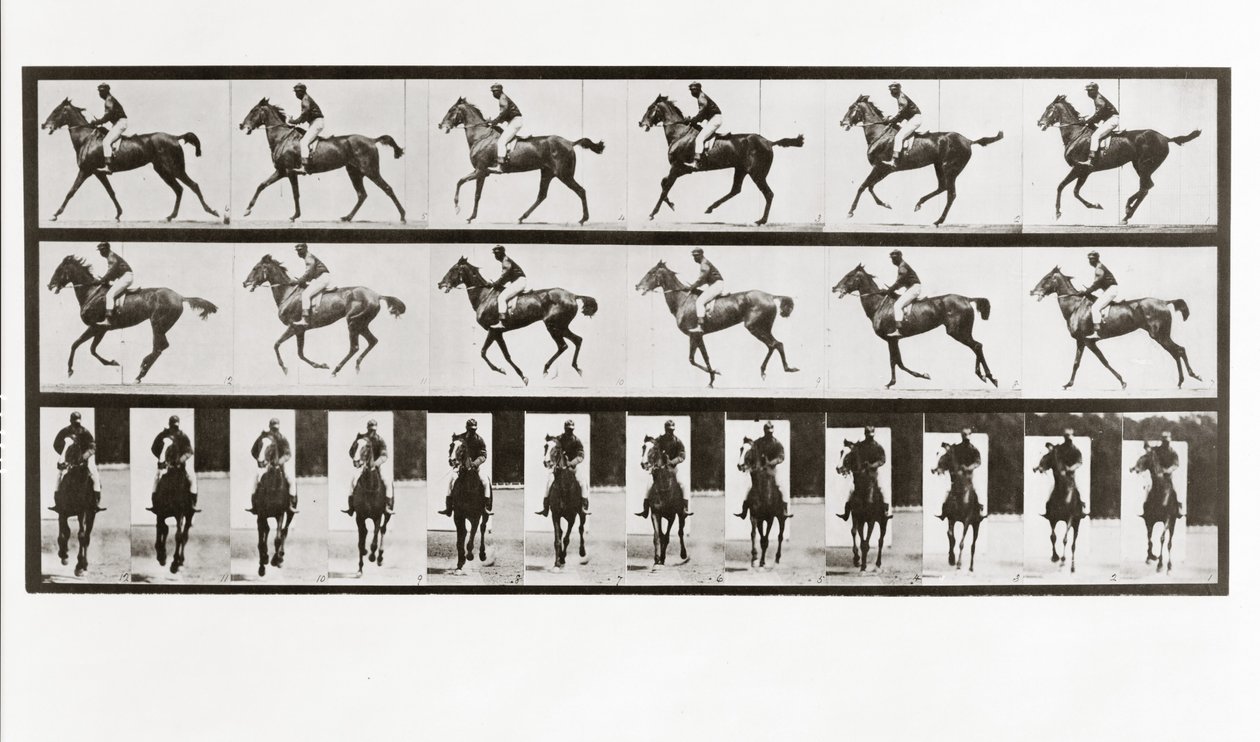 Ló és lovas, 621-es tábla, Animal Locomotion, 1887 alkotó: Eadweard Muybridge