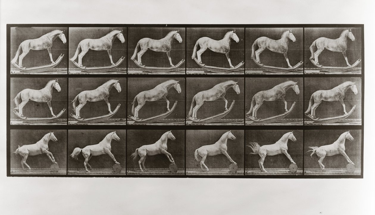 Ló a rockereken és a hordót guruló ló, 649. tábla az Animal Locomotion-tól, 1887 alkotó: Eadweard Muybridge