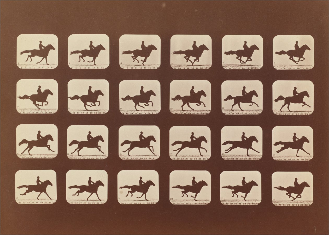 Lovak. Futó. Phyrne L. 40. sz alkotó: Eadweard Muybridge
