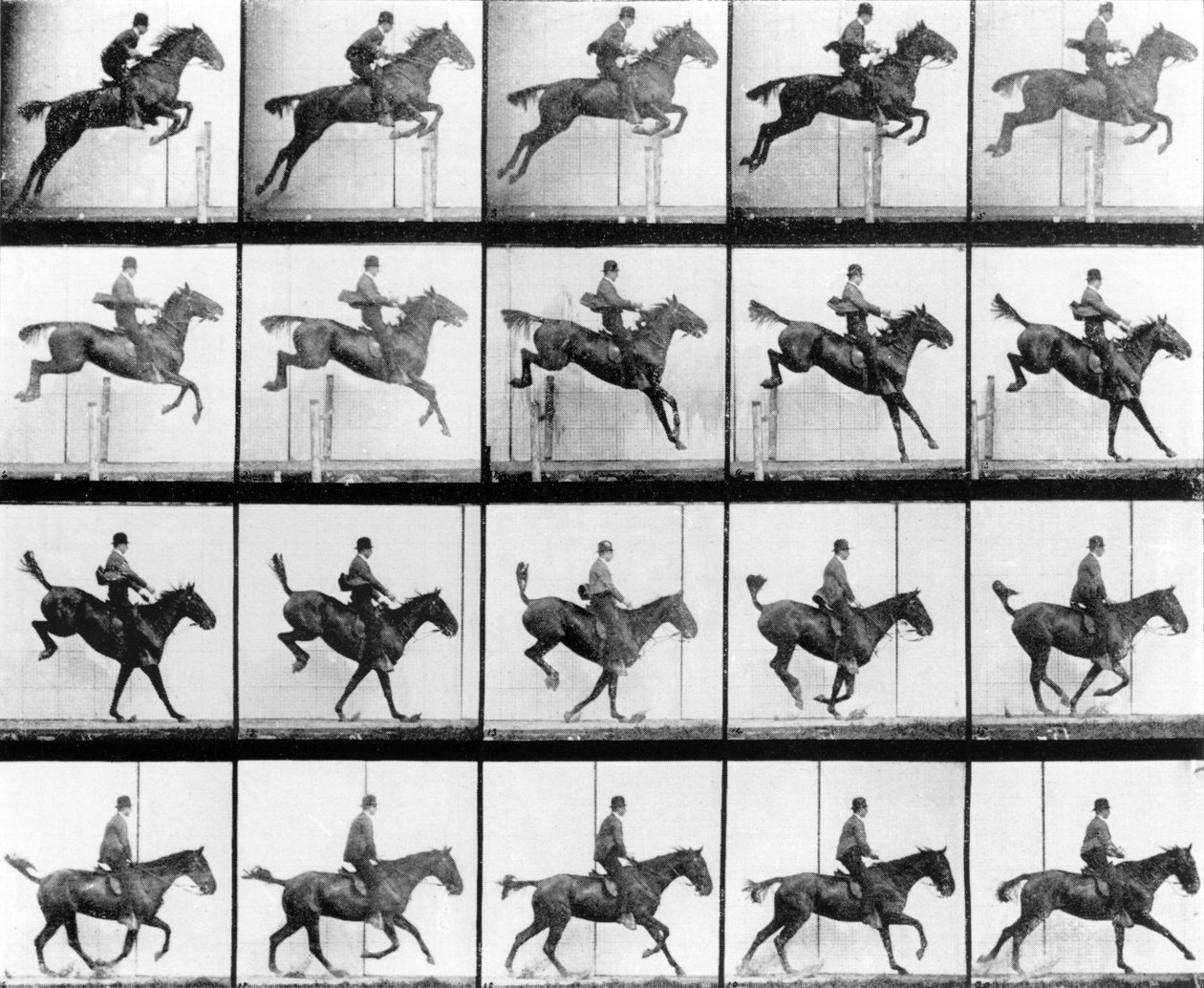 Ember és ló ugrása, a londoni Muybridge „Animals in Motion” című művéből, 1907-ben alkotó: Eadweard Muybridge