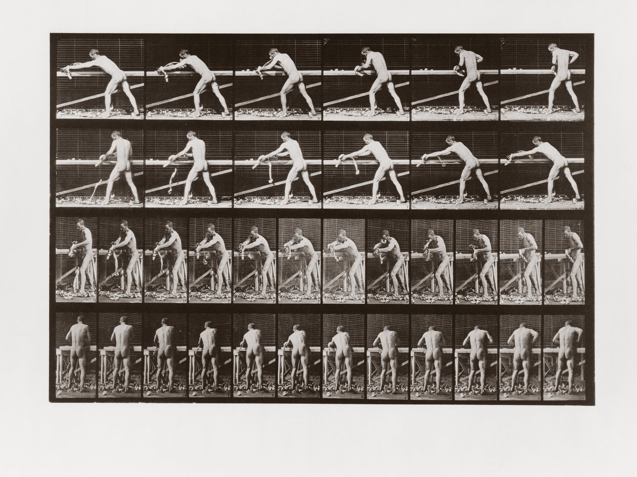 Fát gyaluló ember, 379-es tábla az Animal Locomotion-tól, 1887 alkotó: Eadweard Muybridge