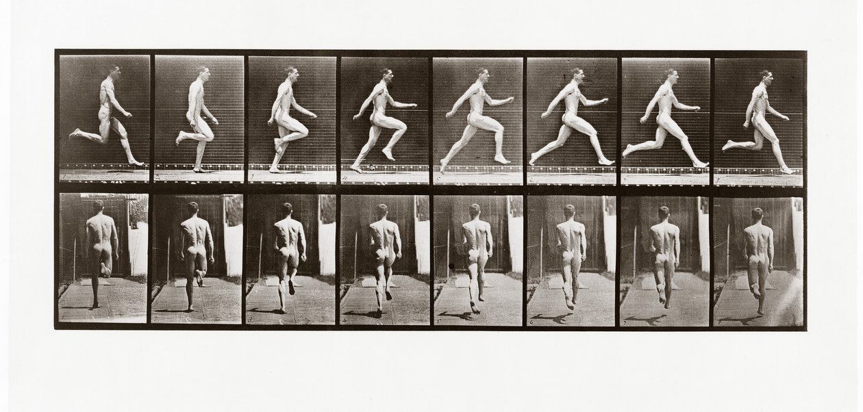 Futó ember, 65-ös tábla az Animal Locomotion-ból, 1887 alkotó: Eadweard Muybridge