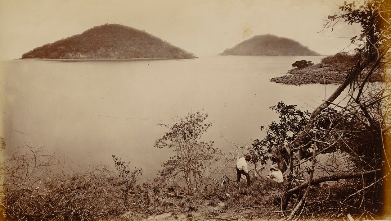 Perico és Flamenco - a panamai Naos-szigetről alkotó: Eadweard Muybridge
