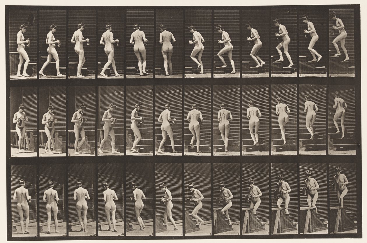 103. tábla. Forduló és felszálló lépcsők, kancsó és serleg a kezében, 1872-1885 alkotó: Eadweard Muybridge