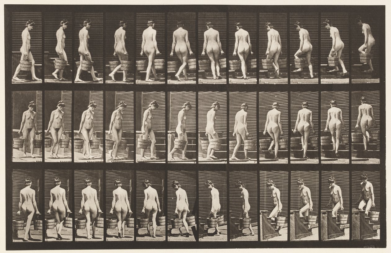 104. tábla. Forduló és felszálló lépcsők, vödör víz mindkét kézben, 1872-1885 alkotó: Eadweard Muybridge