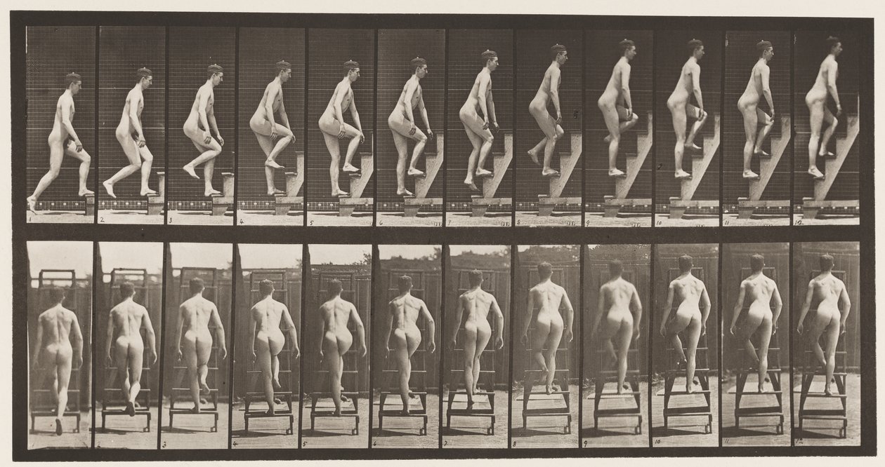 109. tábla Emelkedő létra, 1872-1885 alkotó: Eadweard Muybridge