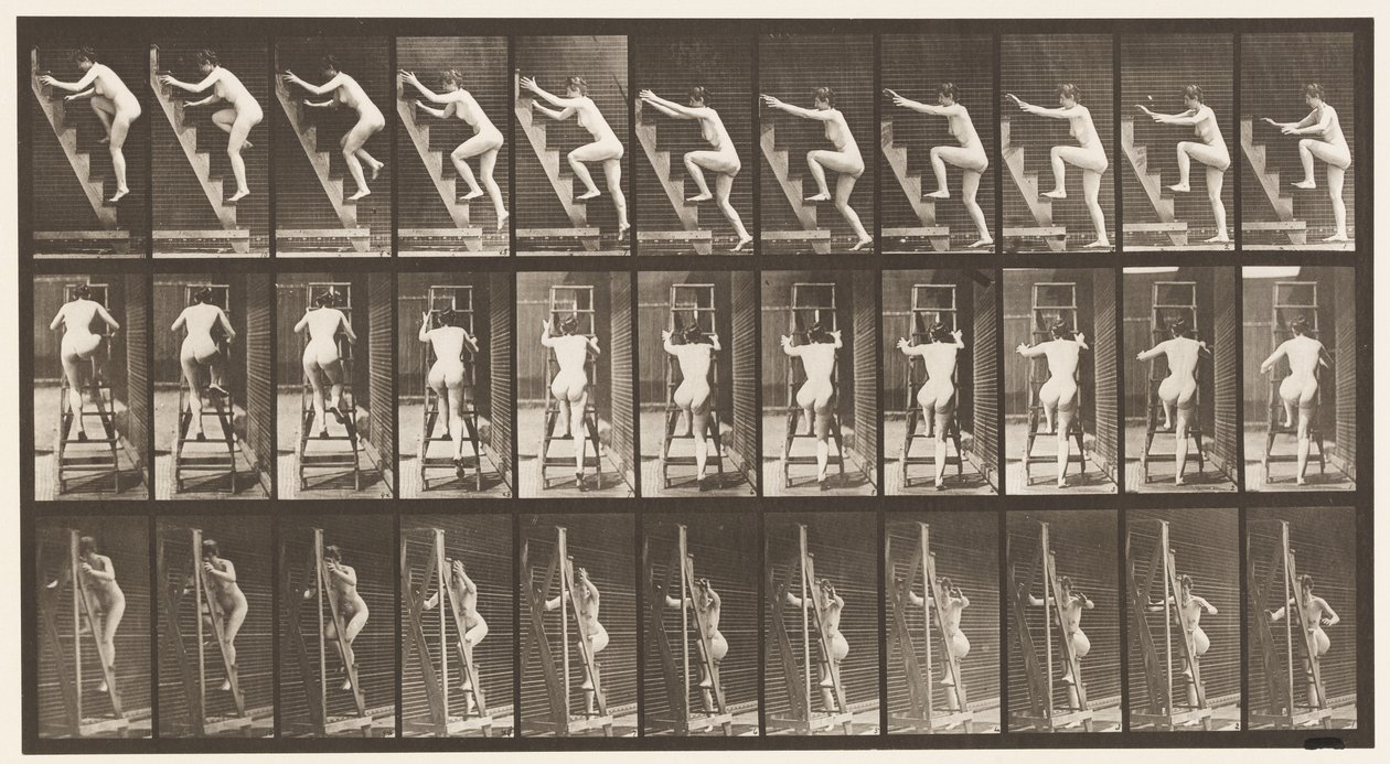 110. tábla. Emelkedő létra, egyszerre két lépéssel alkotó: Eadweard Muybridge