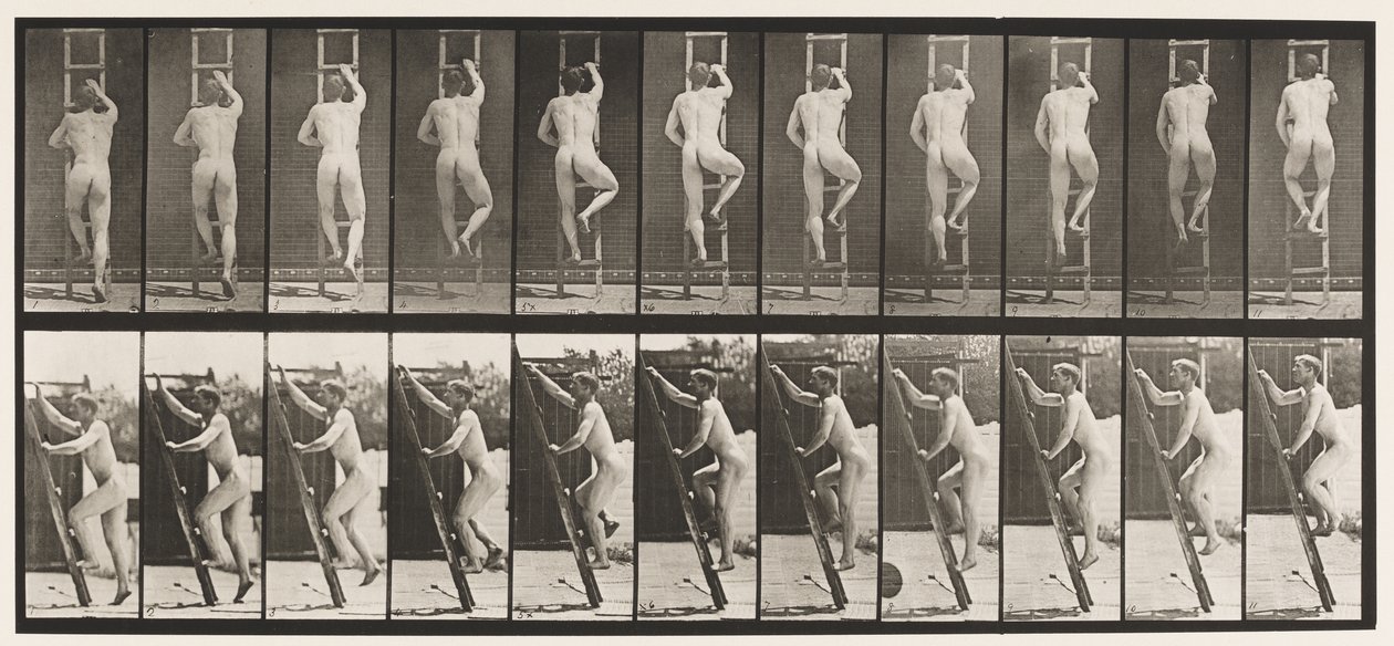 111. tábla. Emelkedő létra alkotó: Eadweard Muybridge