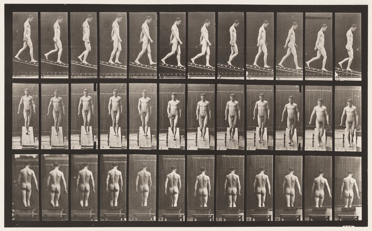 114. tábla. Csökkenő dőlésszög, 1 in 4, 1872-1885 alkotó: Eadweard Muybridge