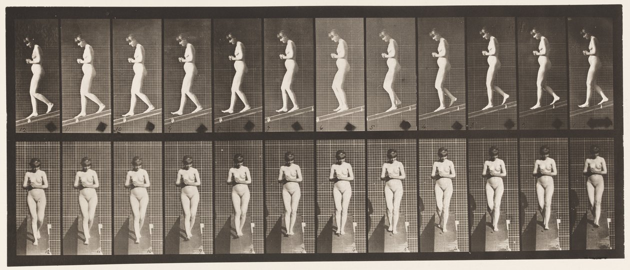 115. tábla. Lejtő lejtőn, elöl összekulcsolt kézzel alkotó: Eadweard Muybridge