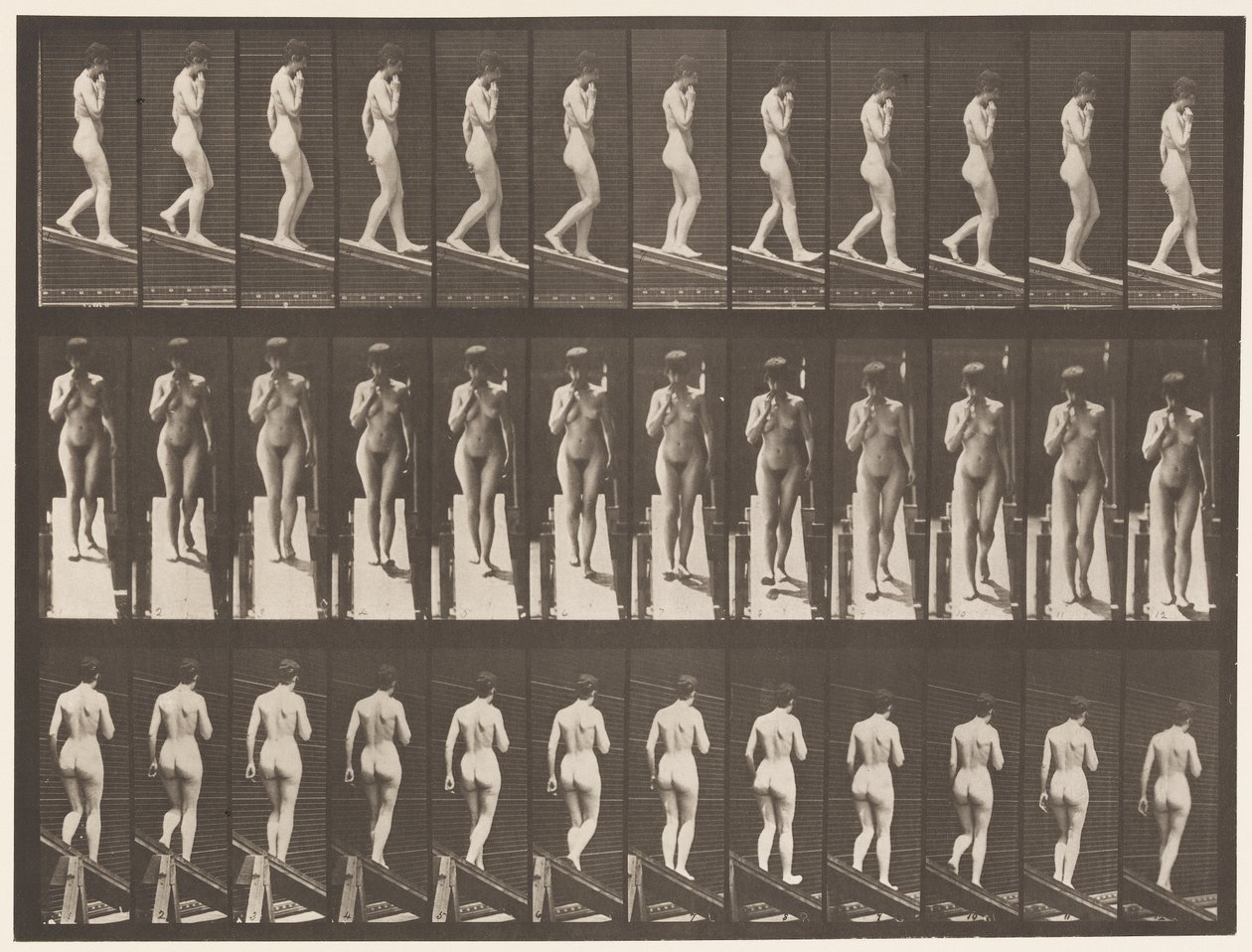 116. tábla. Csökkenő lejtő, egyik kéz állon alkotó: Eadweard Muybridge