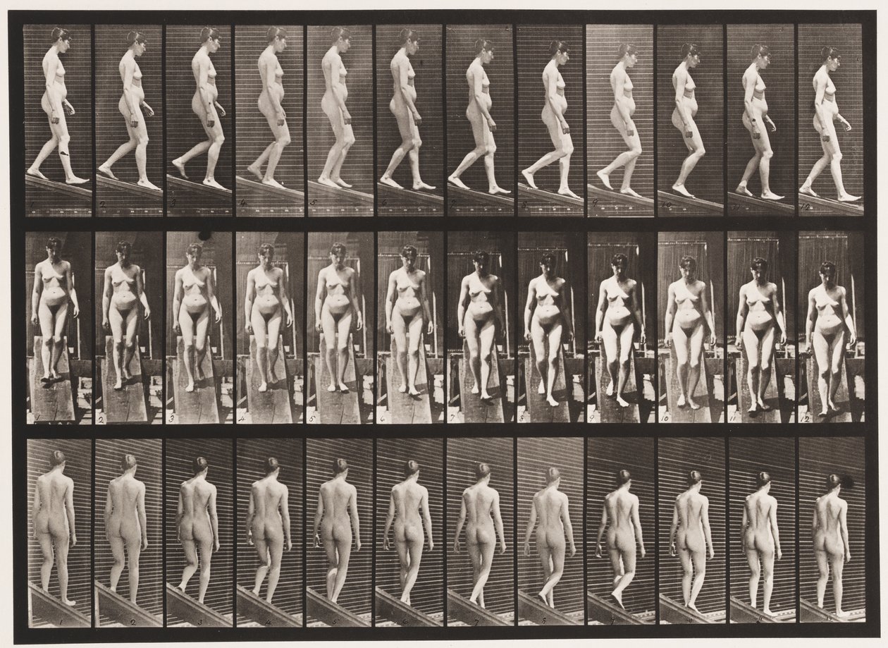 117. tábla. Lejtő lejtő, 1872-1885 alkotó: Eadweard Muybridge
