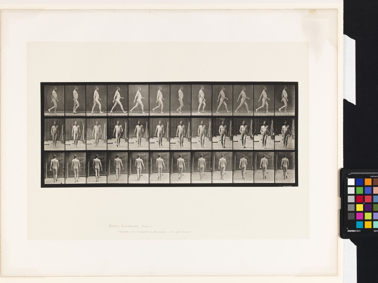 11. tányér.Séta alkotó: Eadweard Muybridge