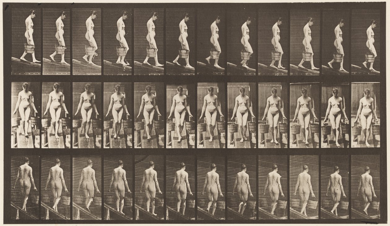 121. tábla. Csökkenő lejtő, mindkét kezében vödör víz alkotó: Eadweard Muybridge