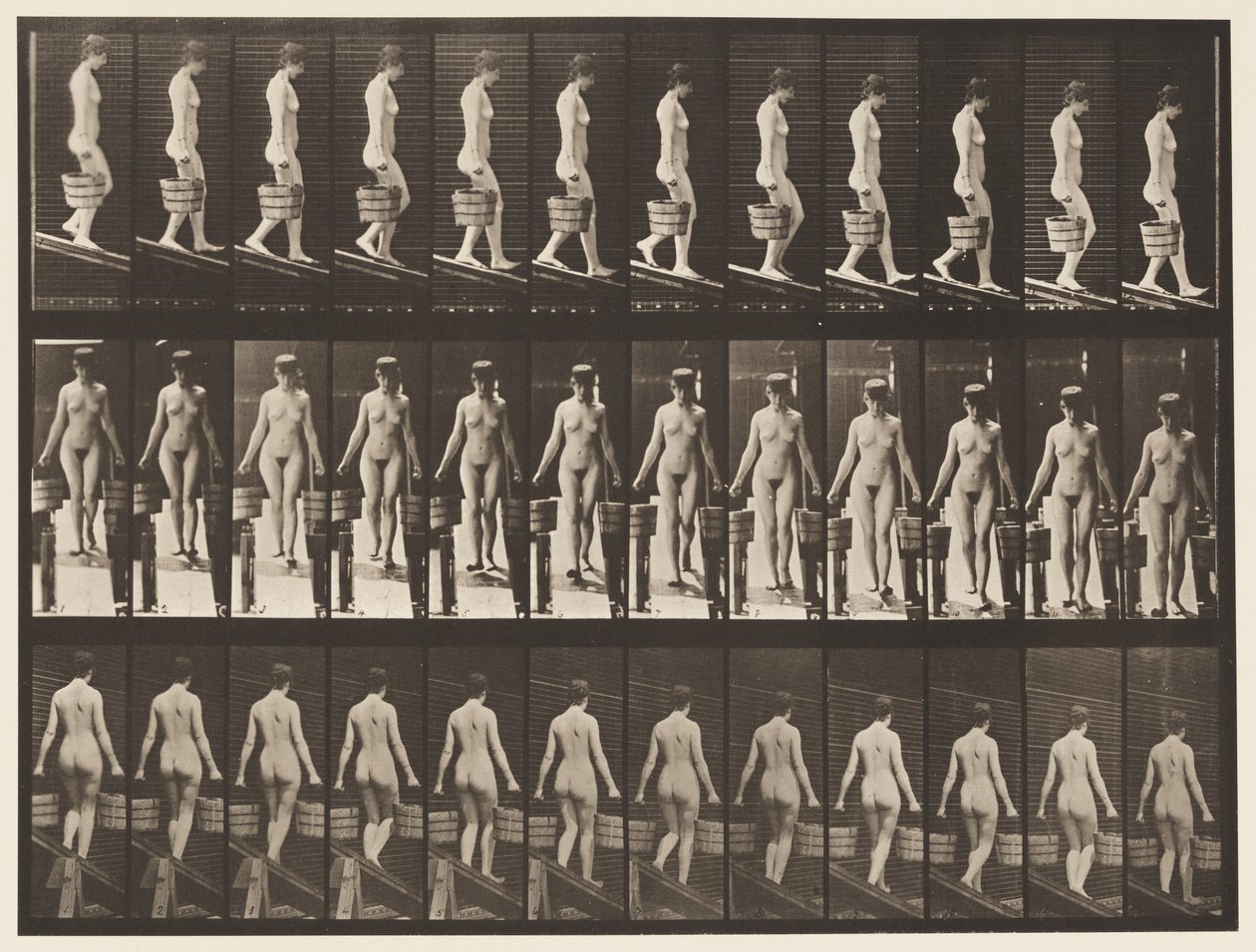 122. tábla. Csökkenő lejtő, vödör víz mindkét kézben, 1872-1885 alkotó: Eadweard Muybridge