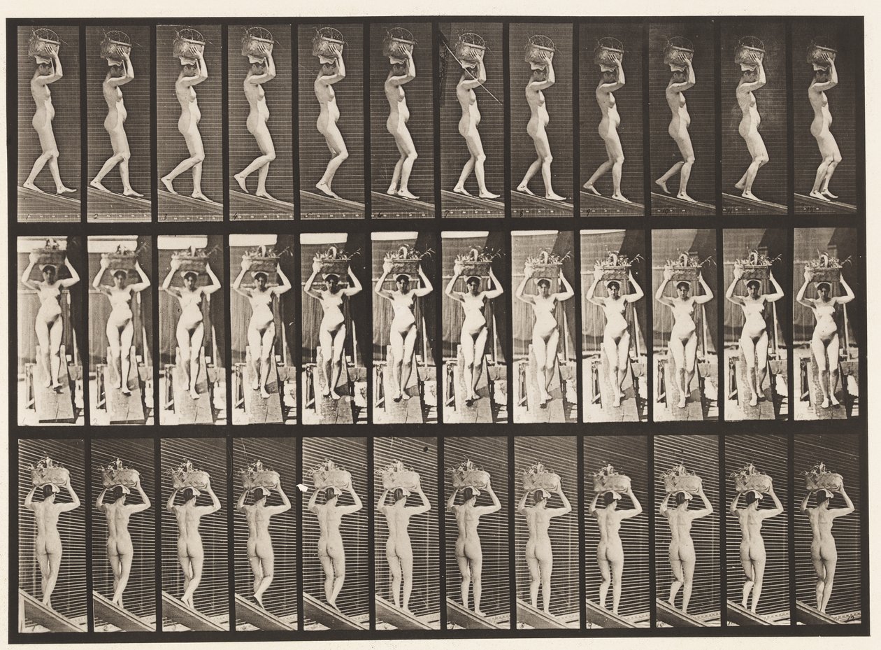 123. tábla. Csökkenő dőlésszögű, 20 font súlyú kosár fejen, felemelt kézzel, 1872-1885 alkotó: Eadweard Muybridge