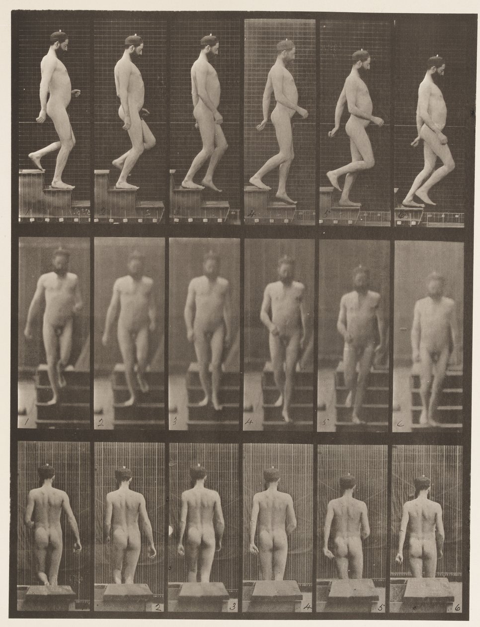127. tábla Lemenő lépcsők, 1872-1885 alkotó: Eadweard Muybridge