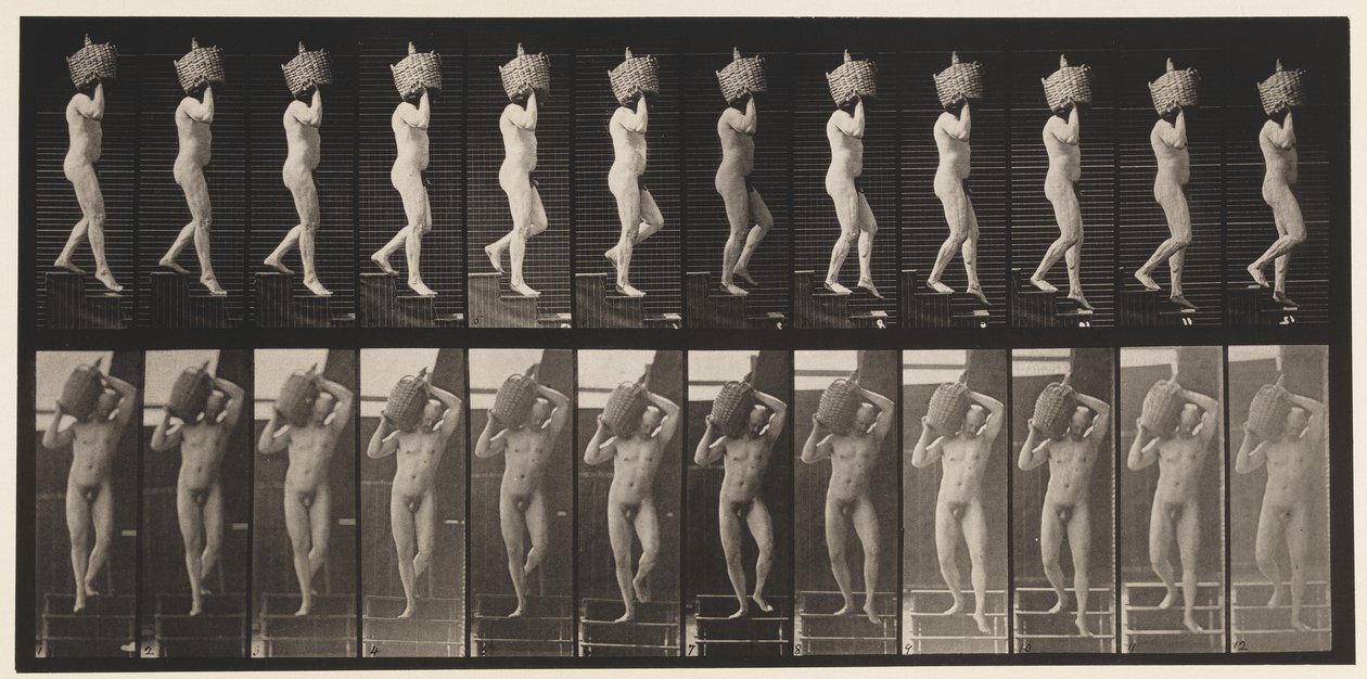 136. tábla. Lefelé tartó lépcsők teljes Demijohn a vállán, 1872-1885 alkotó: Eadweard Muybridge