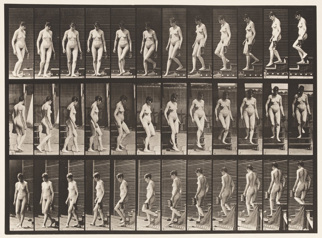 138. tábla. Lefelé tartó lépcsőforduló; Kancsó bal kézben alkotó: Eadweard Muybridge