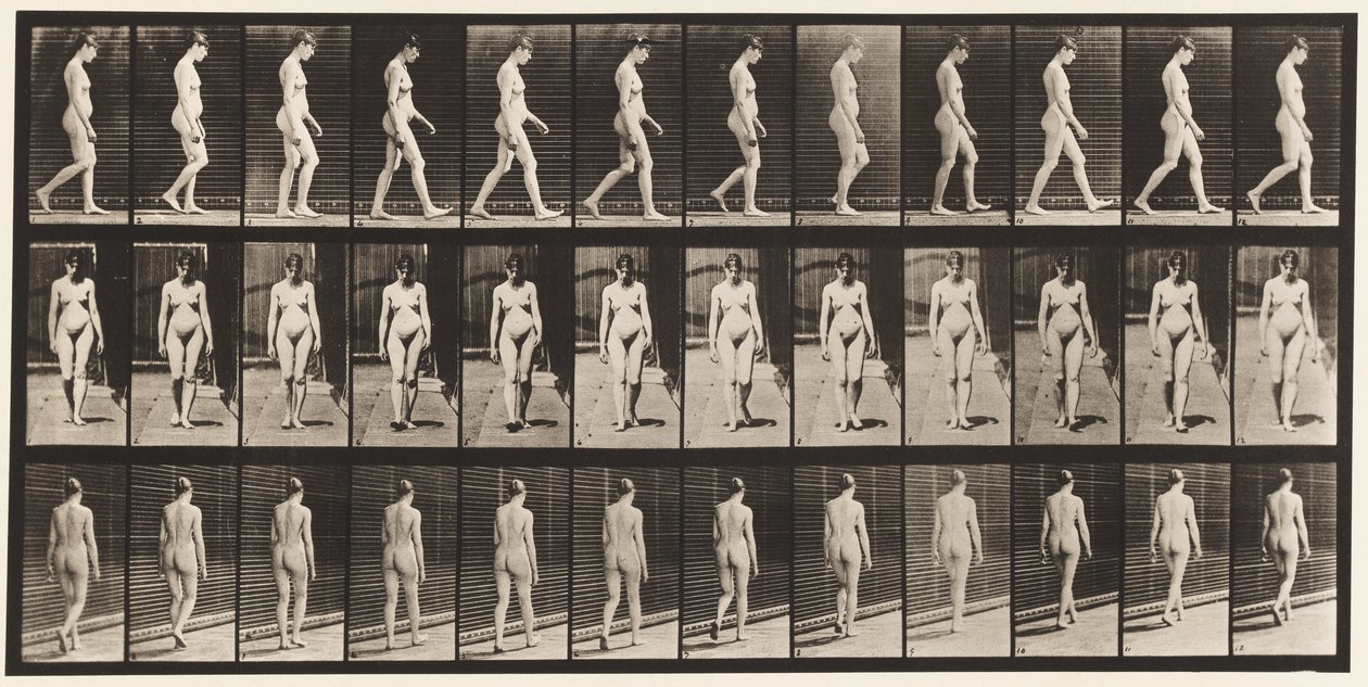 13. tábla Séta, 1872-1885 alkotó: Eadweard Muybridge