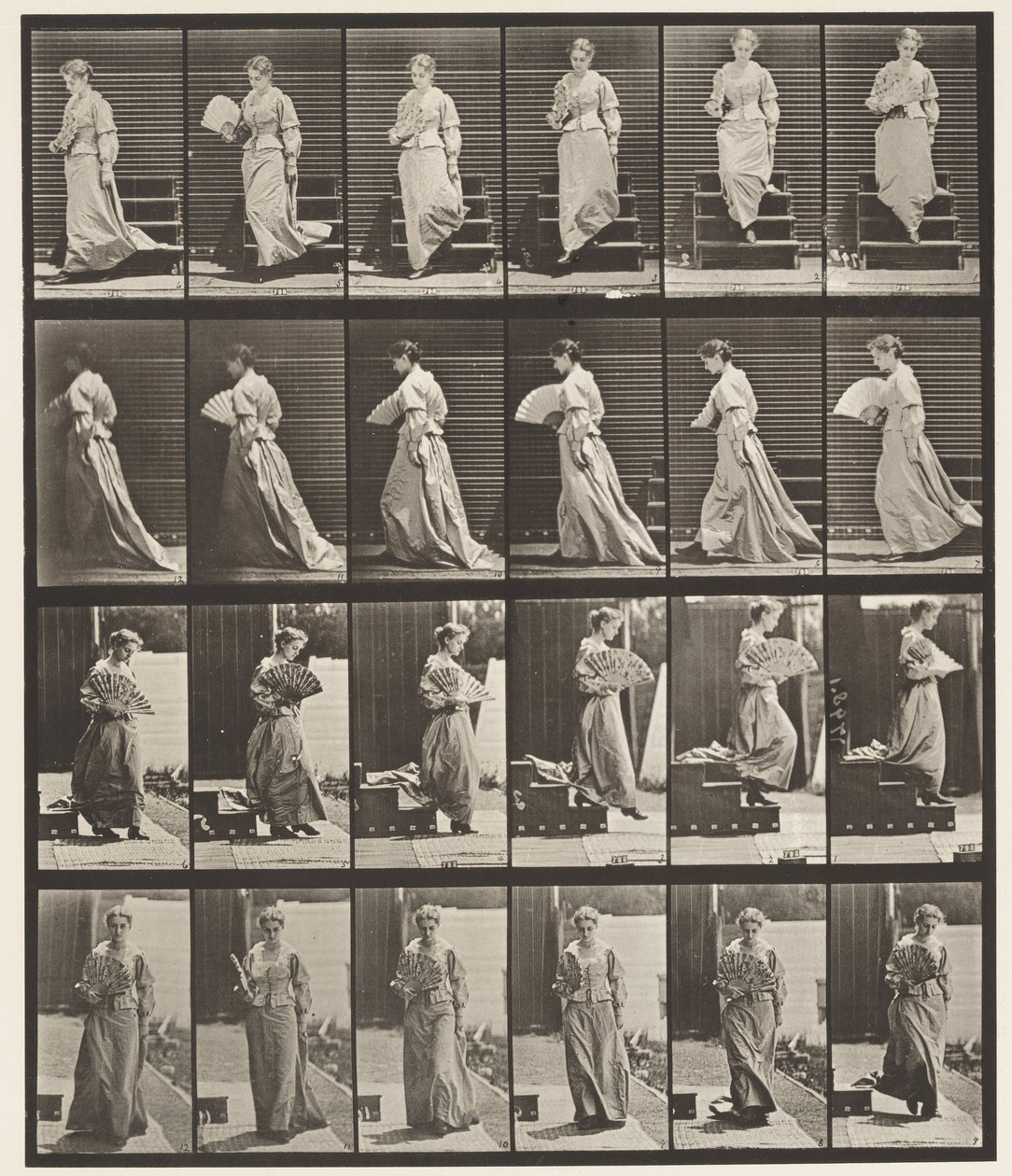 141. tányér. Lejövő lépcsők és flörtölő ventilátor alkotó: Eadweard Muybridge