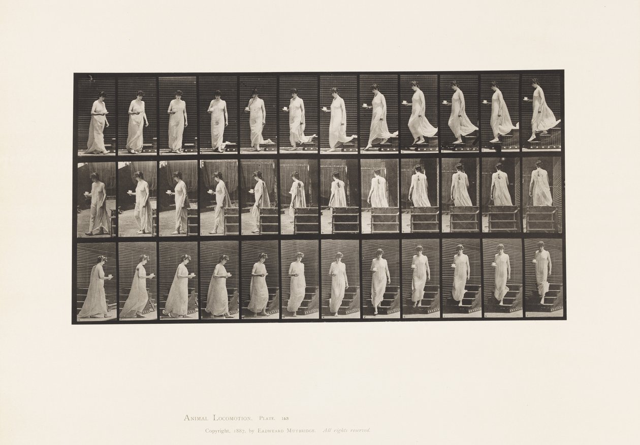 143. tányér. Csökkenő lejtő, forgatható csésze és csészealj jobb kézben alkotó: Eadweard Muybridge