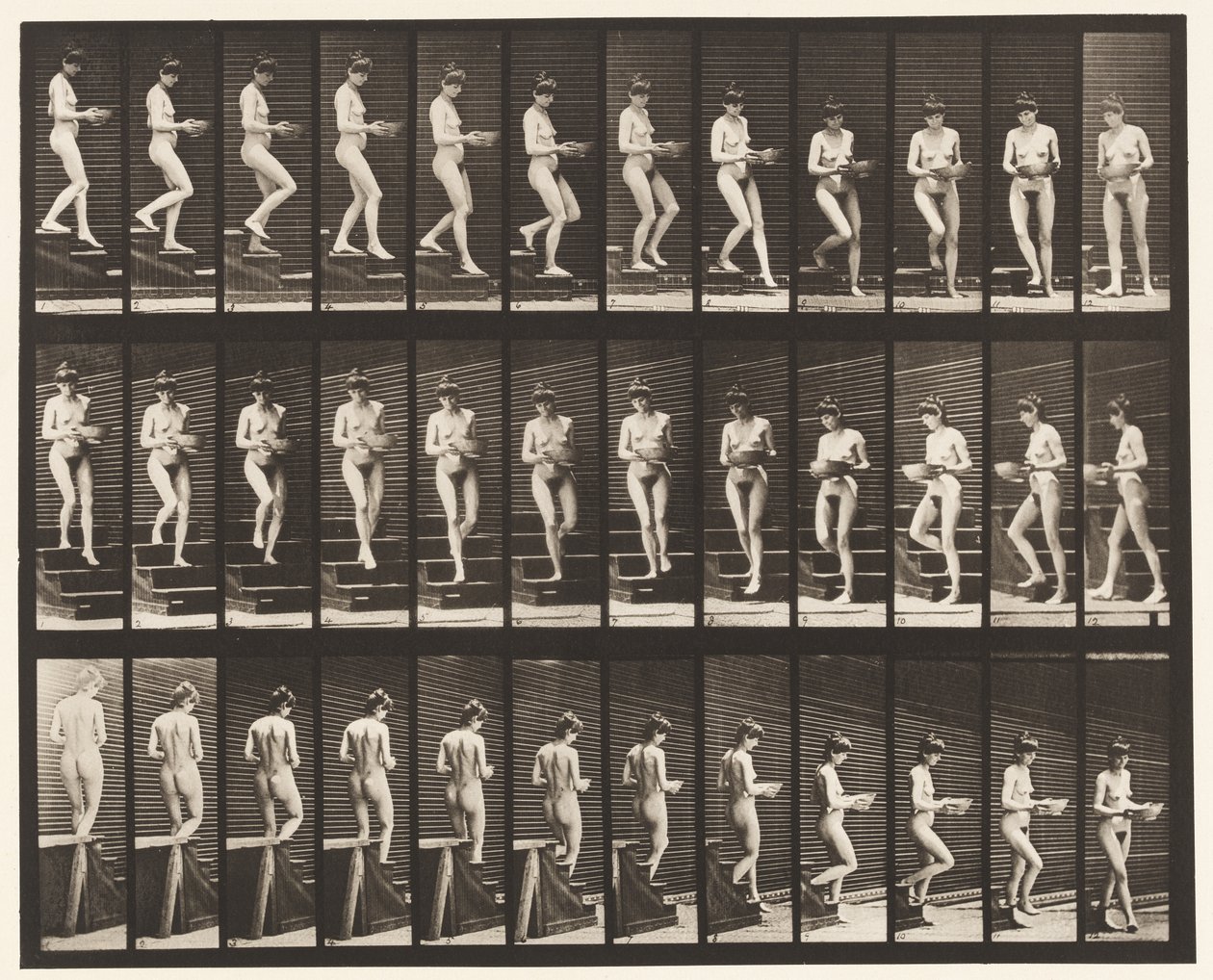 144. tábla. Leszálló lépcsők; Eszterga medence a kezében alkotó: Eadweard Muybridge