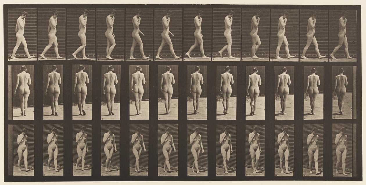 14. tábla Járás, jobb kéz az állnál, 1872-1885 alkotó: Eadweard Muybridge