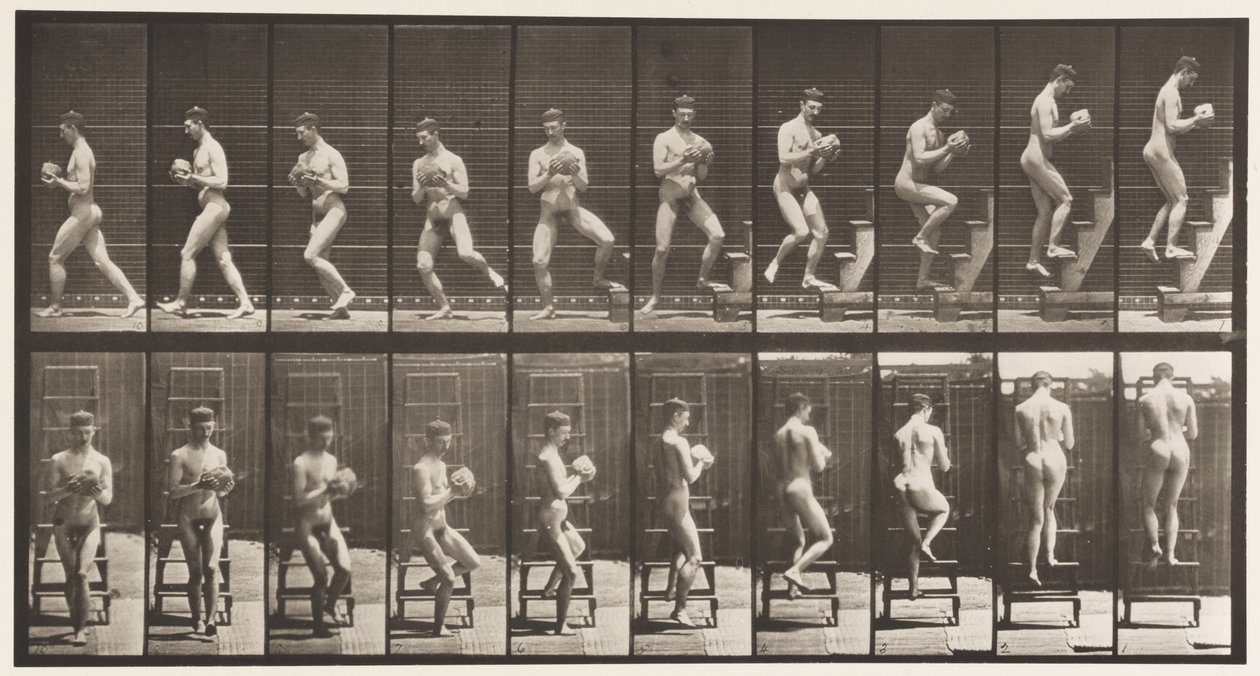 151. tábla. Lejövő létra, megfordulás, szikla a kezekben, 1872-1885 alkotó: Eadweard Muybridge