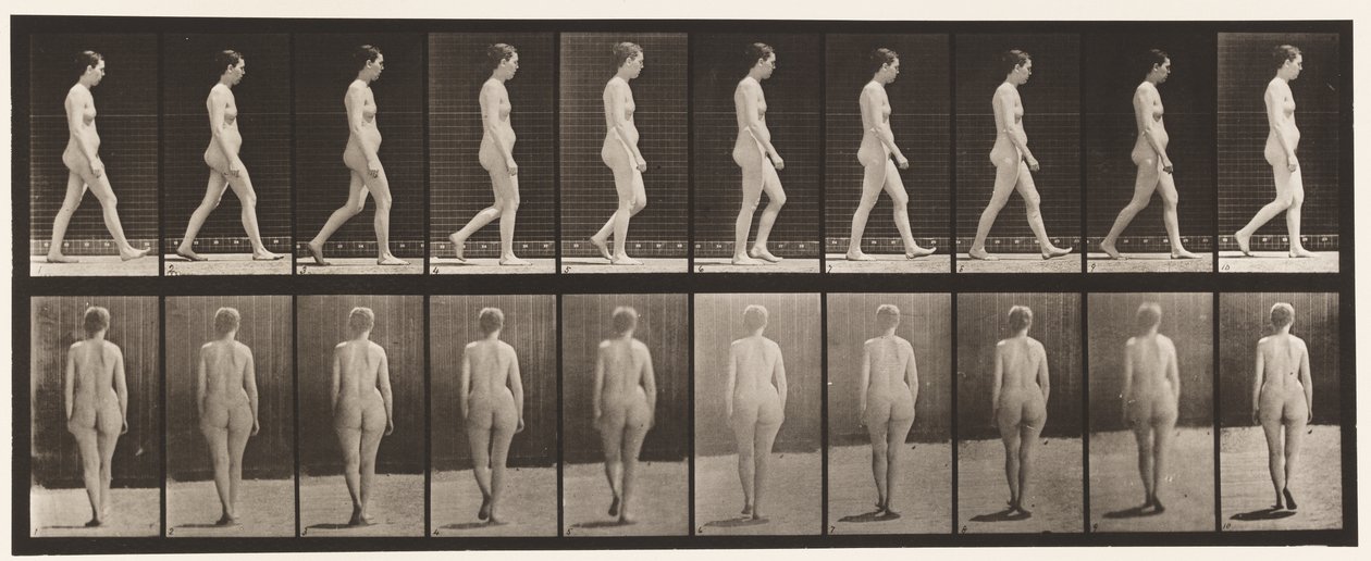Tányér 15. Séta alkotó: Eadweard Muybridge