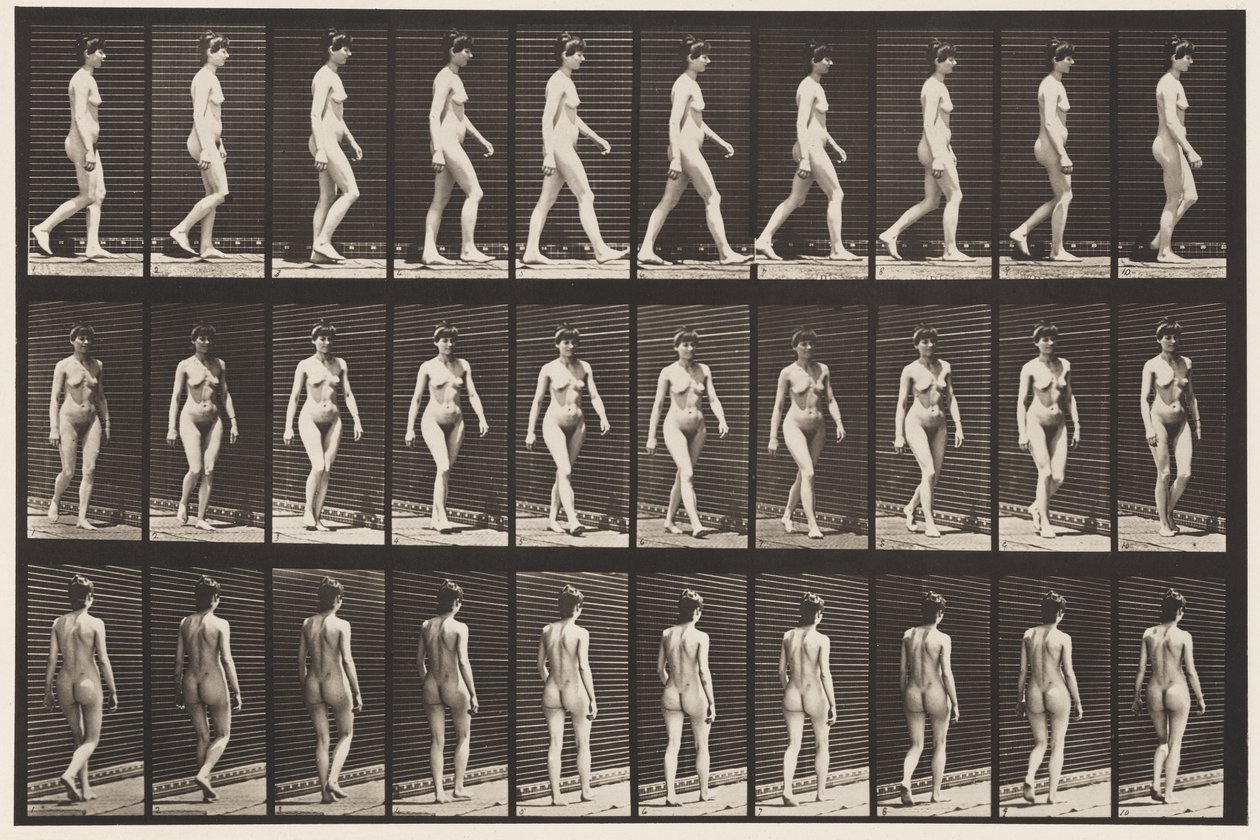 16. tábla Séta, 1872-1885 alkotó: Eadweard Muybridge