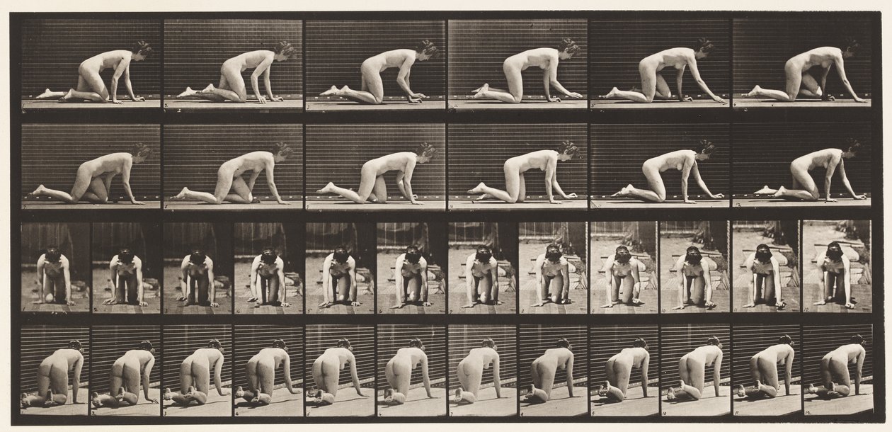 182. tábla. Kúszás kézen és térden alkotó: Eadweard Muybridge