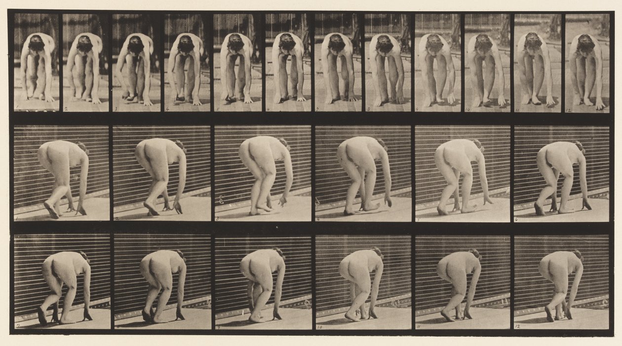 184. tábla. Kézen és lábon járás alkotó: Eadweard Muybridge