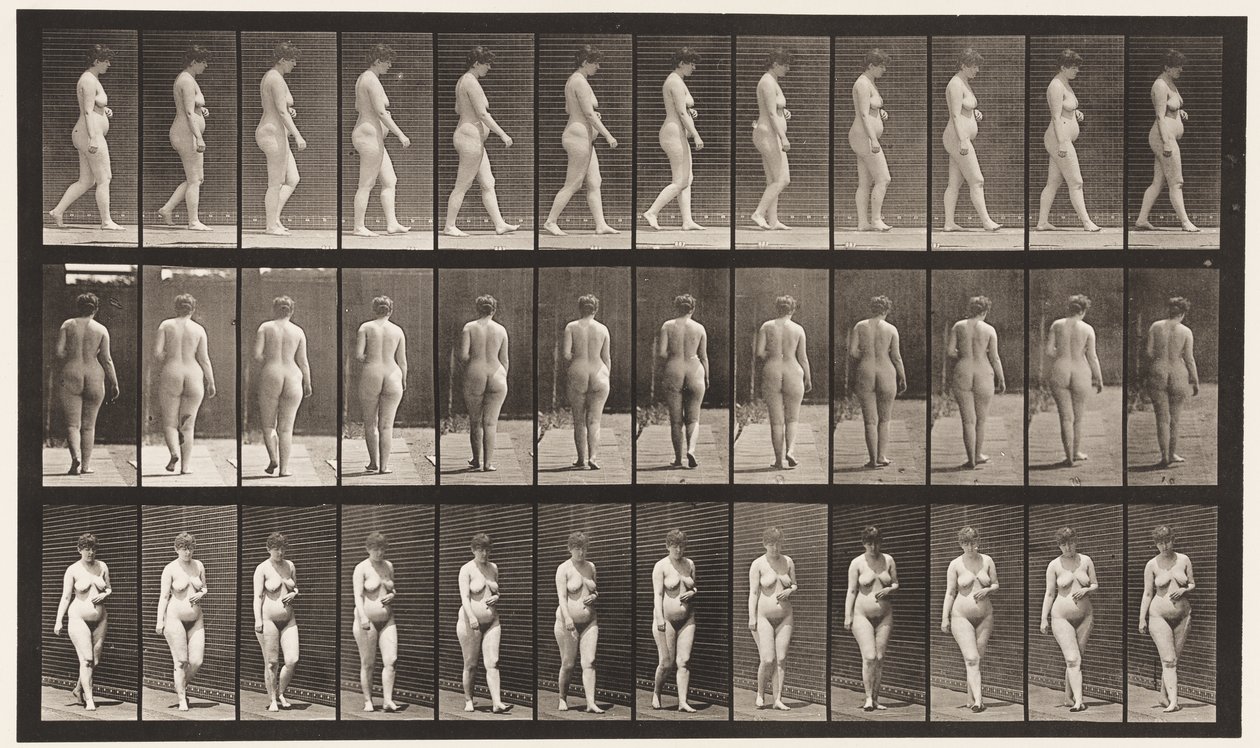 18. tábla. Séta, bal kézzel keresztben a hason, 1872-1885 alkotó: Eadweard Muybridge