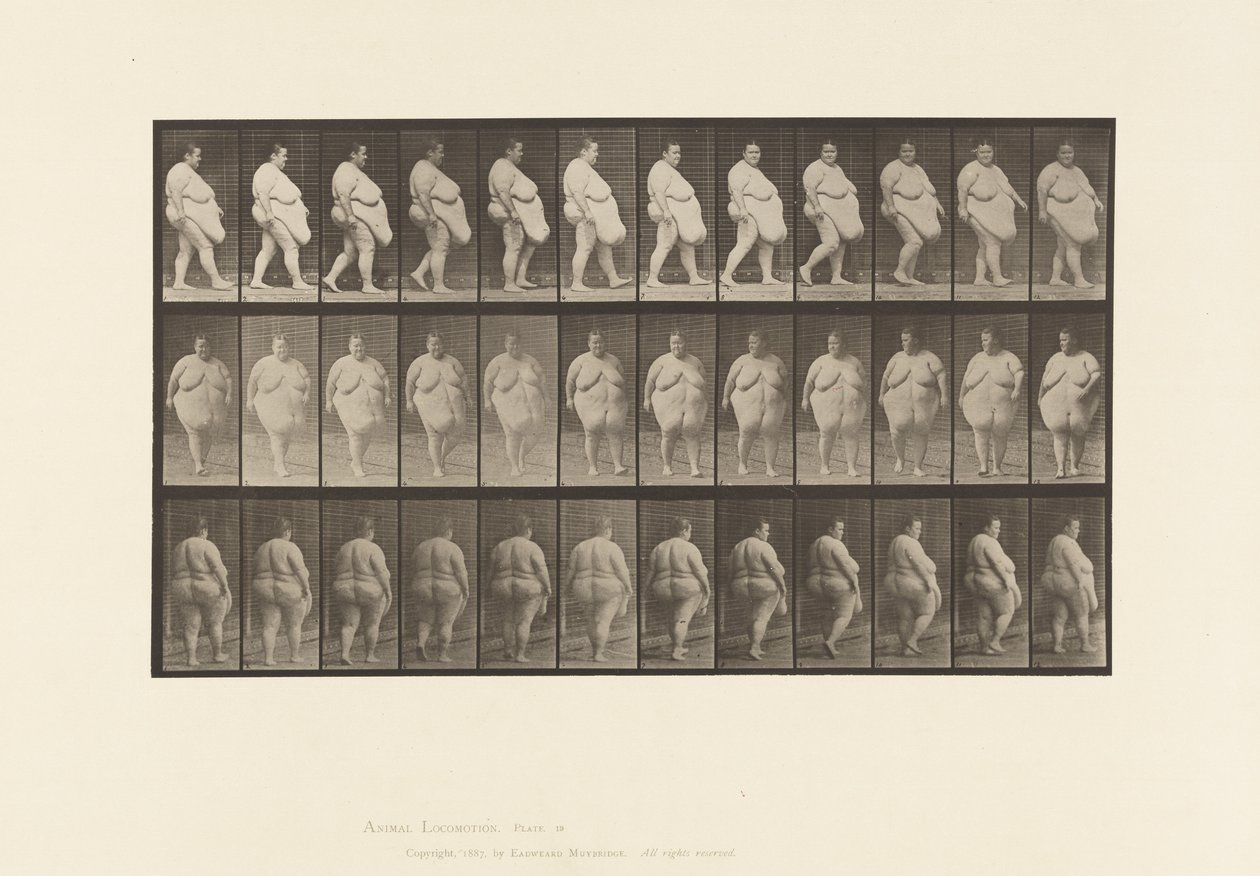 19. tábla. Séta, megfordulni kezd alkotó: Eadweard Muybridge