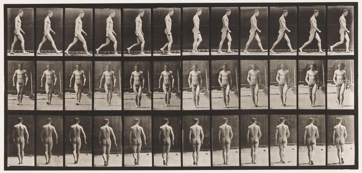 Tányér 1. Séta alkotó: Eadweard Muybridge