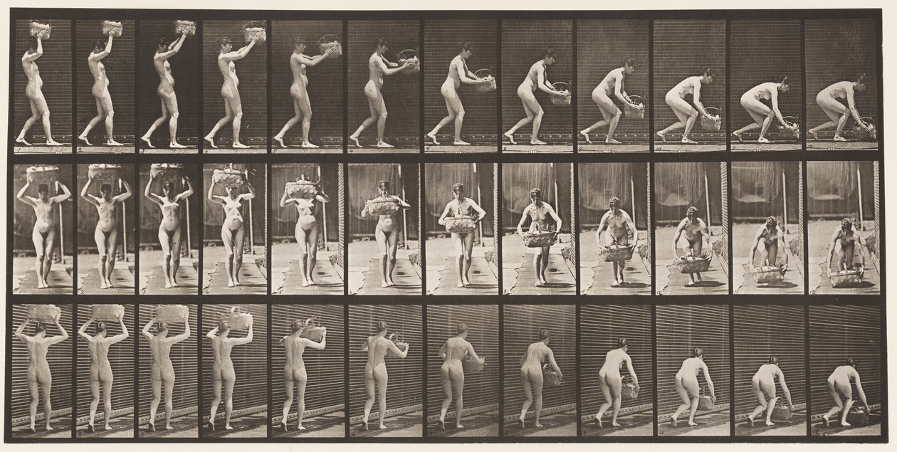 201. tányér. 12 fontos kosár elvétele fejből, földre helyezés, 1872-1885 alkotó: Eadweard Muybridge