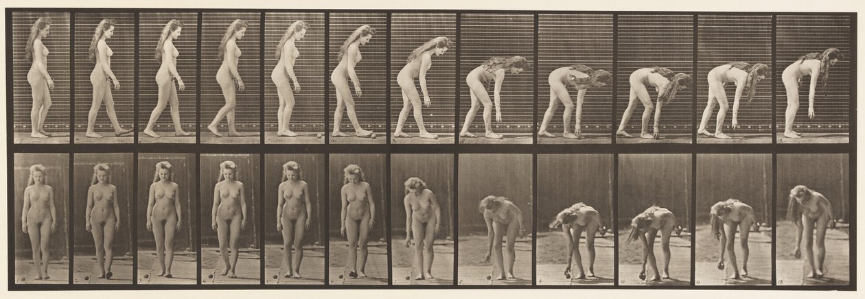 204. tányér. Megállás, hogy felvegye a labdát alkotó: Eadweard Muybridge