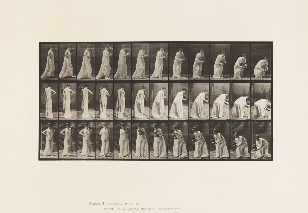 205. tábla. Vázával hordás és hajlás, 1885 alkotó: Eadweard Muybridge